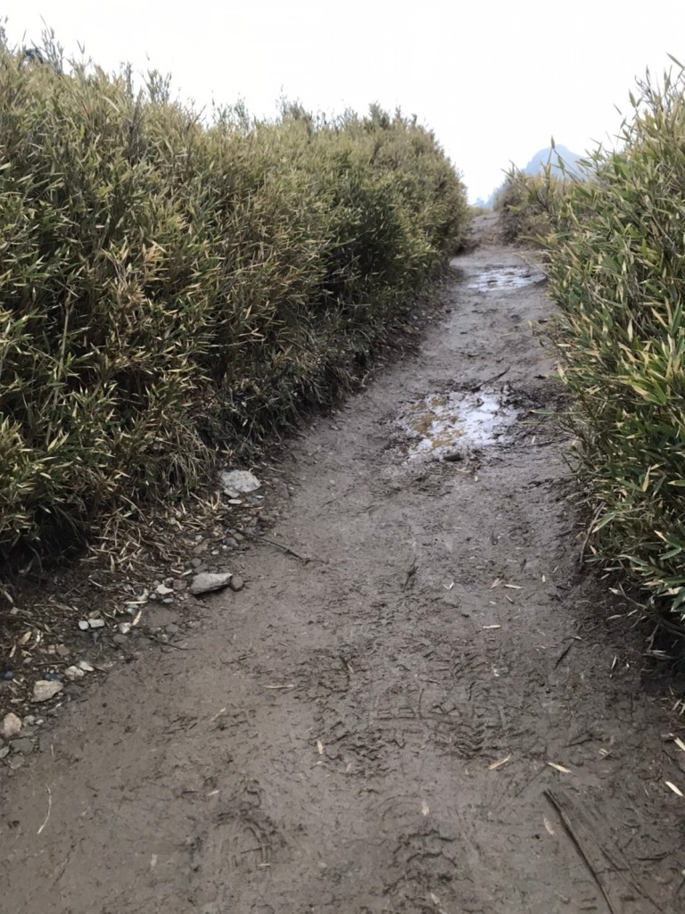 旅.饞：台灣百岳-石門山步道